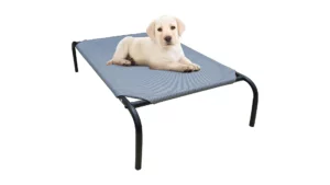 dog bed